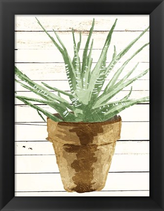 Framed Wood Plant Pot Print