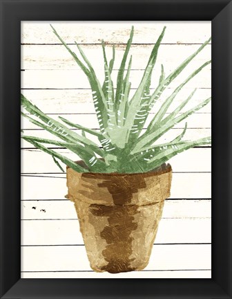 Framed Wood Plant Pot Print