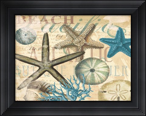 Framed Beach Shells Print