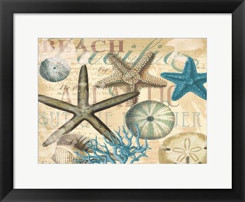 Framed Beach Shells Print