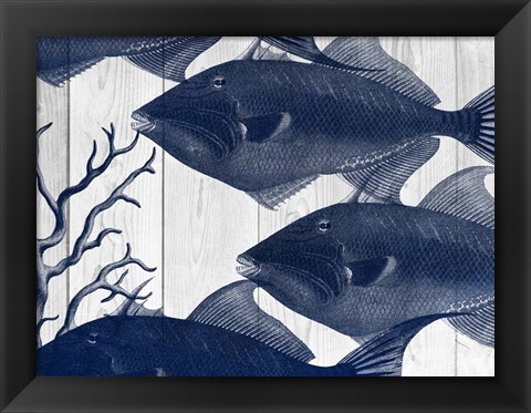 Framed Blue Fish Print