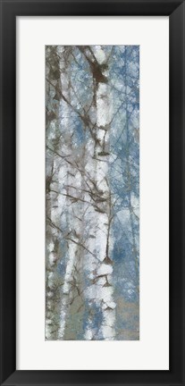 Framed Birch Scape 2 Print