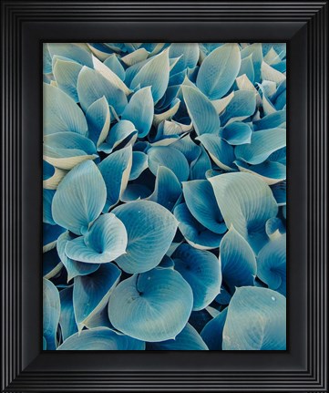 Framed Green Plants Happy Day 1 Print