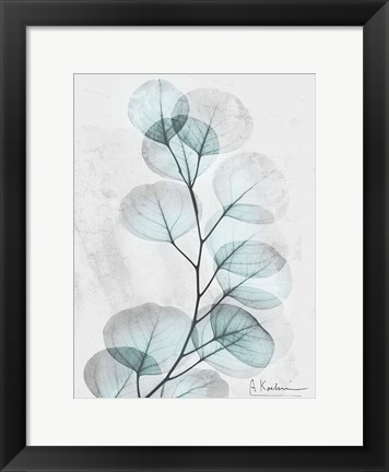 Framed Eucalyptus Glow 3 Print