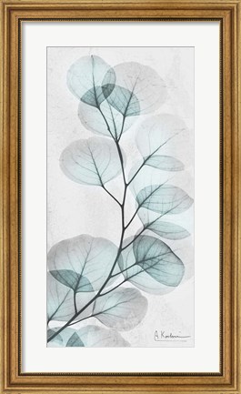 Framed Eucalyptus Glow 1 Print