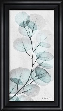 Framed Eucalyptus Glow 1 Print