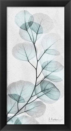 Framed Eucalyptus Glow 1 Print