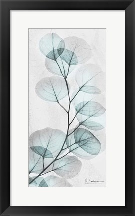 Framed Eucalyptus Glow 1 Print