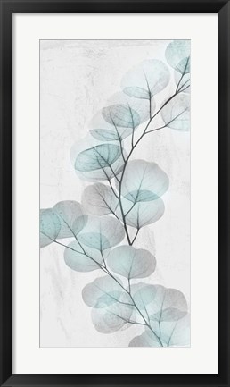 Framed Eucalyptus Glow 2 Print