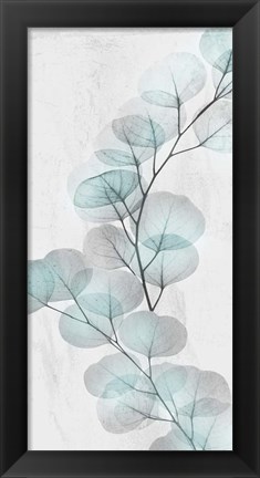 Framed Eucalyptus Glow 2 Print