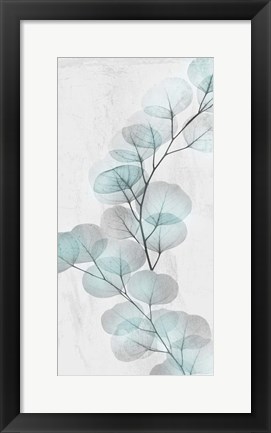 Framed Eucalyptus Glow 2 Print