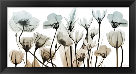 Framed Sandy Floral Breeze 1 Print