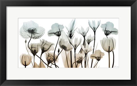 Framed Sandy Floral Breeze 1 Print