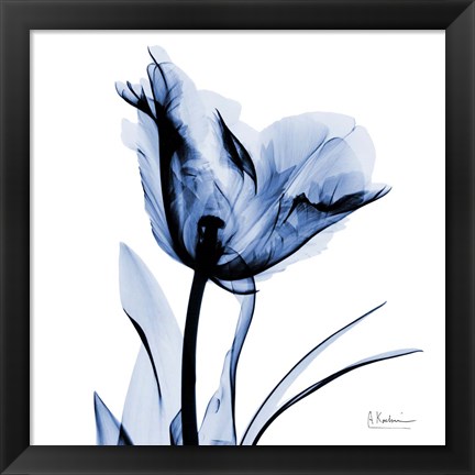 Framed Indigo Softened Tulip Print