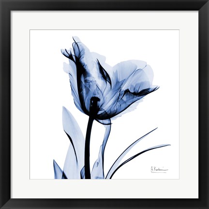 Framed Indigo Softened Tulip Print