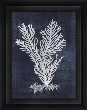 Framed Sea Fan 2 Print