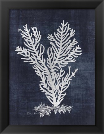 Framed Sea Fan 2 Print