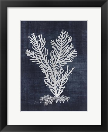 Framed Sea Fan 2 Print