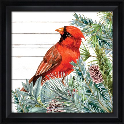 Framed Winter Birds 2 Print