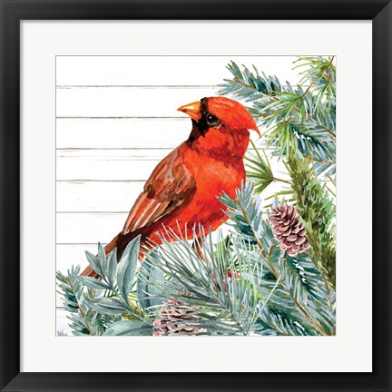 Framed Winter Birds 2 Print