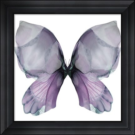 Framed Floral Butterfly 3 Print