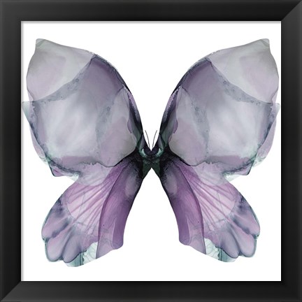 Framed Floral Butterfly 3 Print