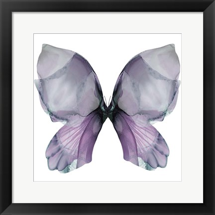 Framed Floral Butterfly 3 Print