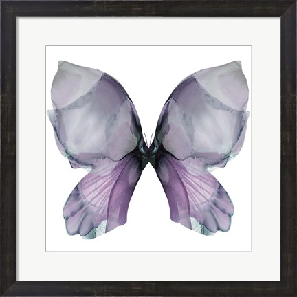 Framed Floral Butterfly 3 Print