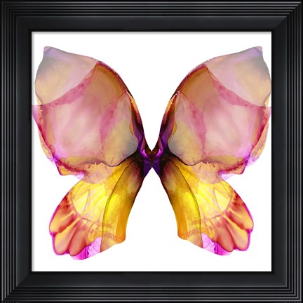 Framed Floral Butterfly 4 Print
