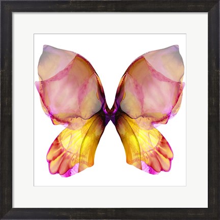Framed Floral Butterfly 4 Print