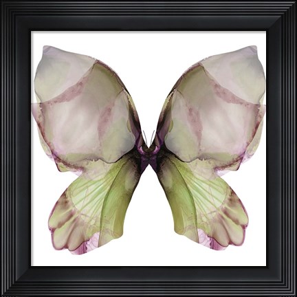 Framed Floral Butterfly 1 Print