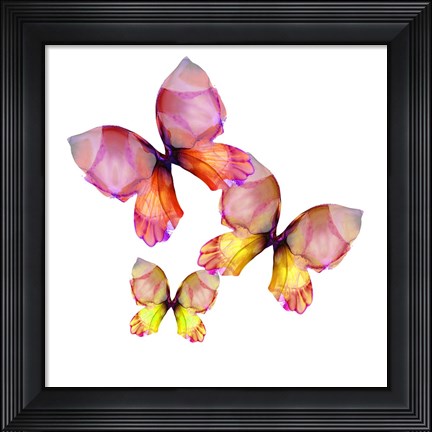 Framed Floral Butterfly Trio Print