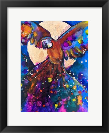 Framed Vibrant Parrot Print