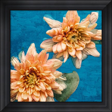 Framed Orange Chrysanthemums Print