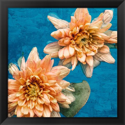 Framed Orange Chrysanthemums Print