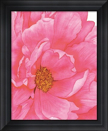 Framed Pink Flower 2 Print