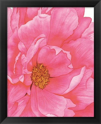 Framed Pink Flower 2 Print