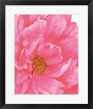 Framed Pink Flower 2 Print