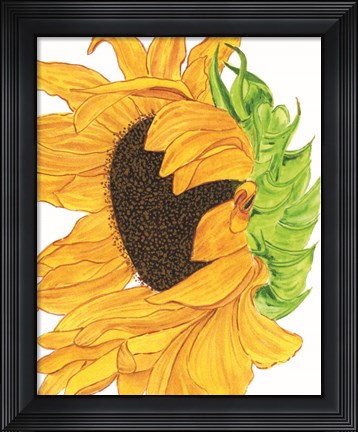 Framed Sunflower 5 Print