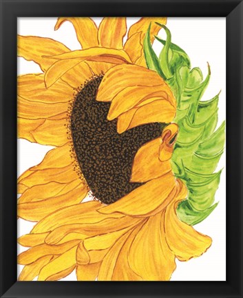 Framed Sunflower 5 Print