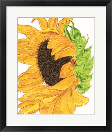 Framed Sunflower 5 Print