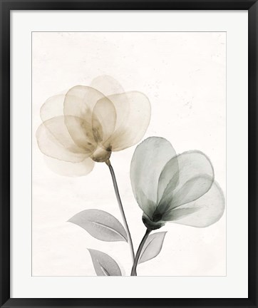Framed Open Bloom 1 Print