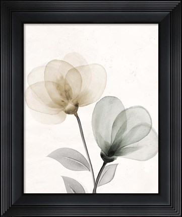 Framed Open Bloom 1 Print