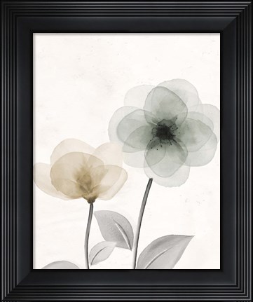 Framed Open Bloom 2 Print