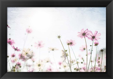 Framed Wildflower Spring Print