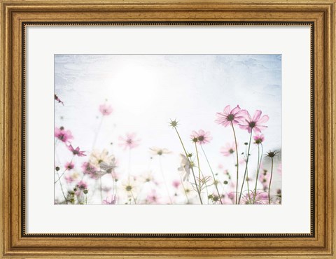 Framed Wildflower Spring Print