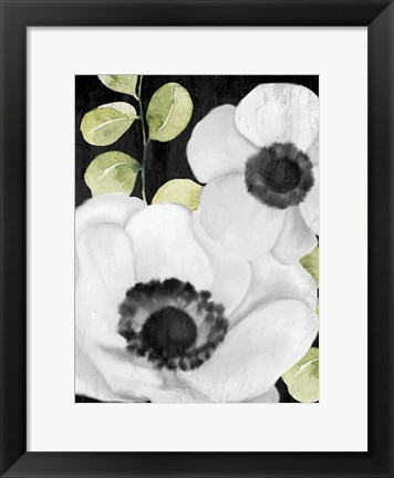 Framed Anemone On Black 1 Print