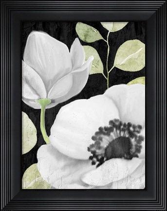 Framed Anemone On Black 2 Print