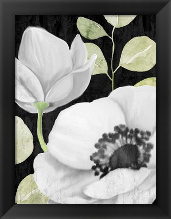 Framed Anemone On Black 2 Print