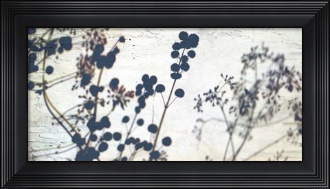 Framed Dried Flowers Print